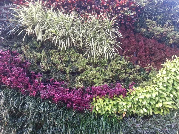 Bebas Pilih Jenis Tanaman vertical garden